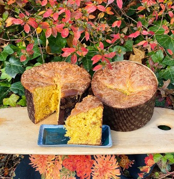 Einkorn Panettone on display | Anna Maria's Foods